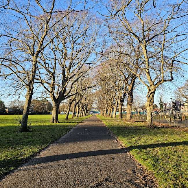 A straight paved pathway lined with leafless deciduous trees on both sides, casting long shadows on the ground under a clear blue sky. The pathway runs through a park or green space, with grassy areas